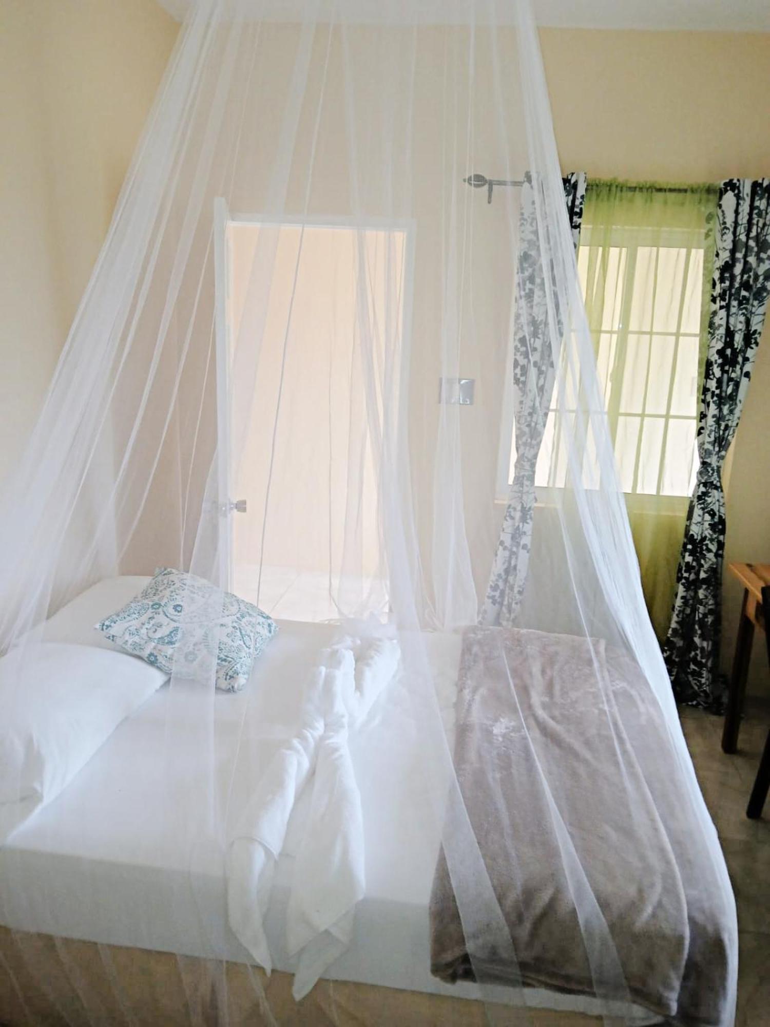 Viva Violas Port Antonio Extérieur photo