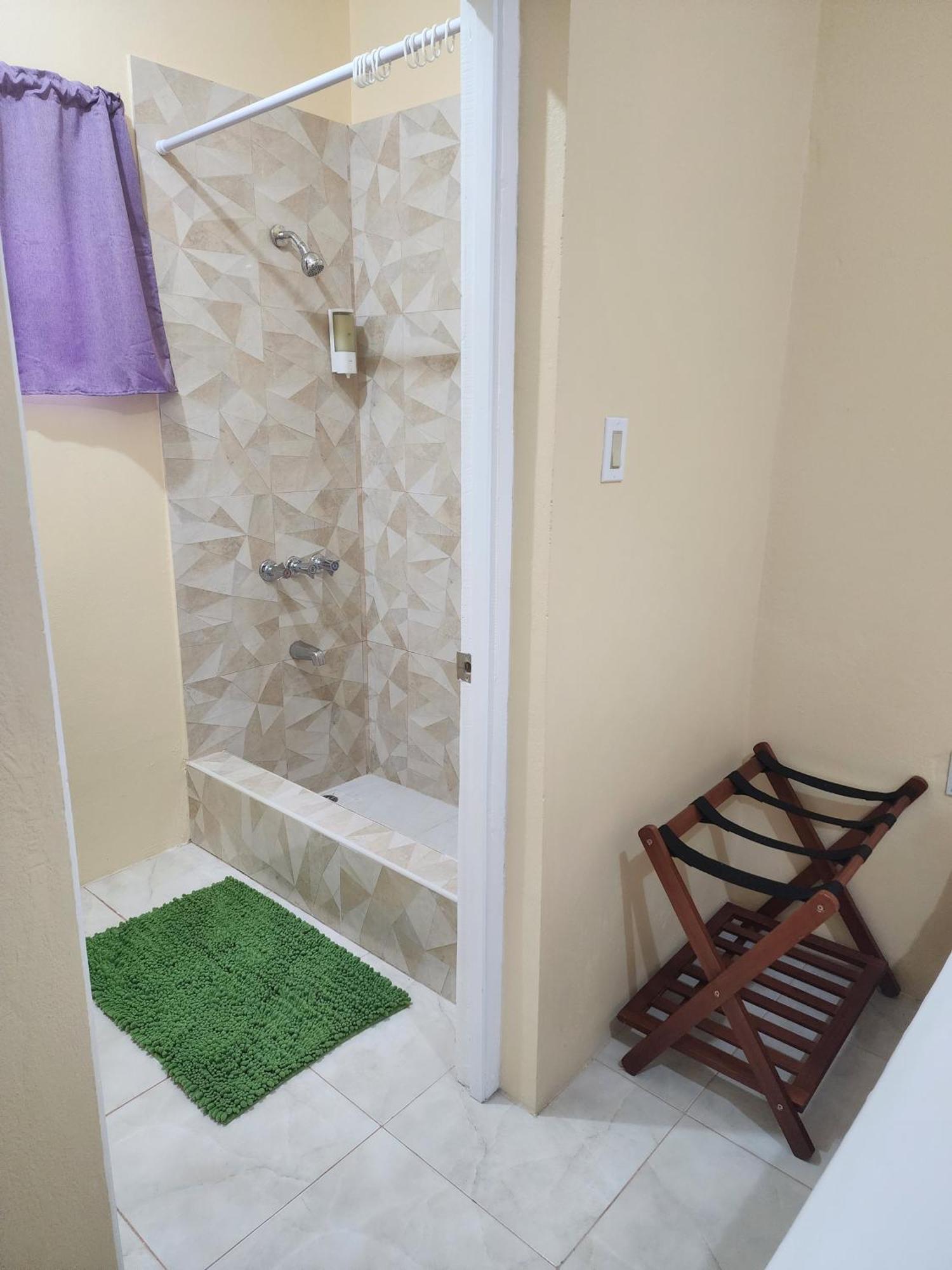 Viva Violas Port Antonio Extérieur photo