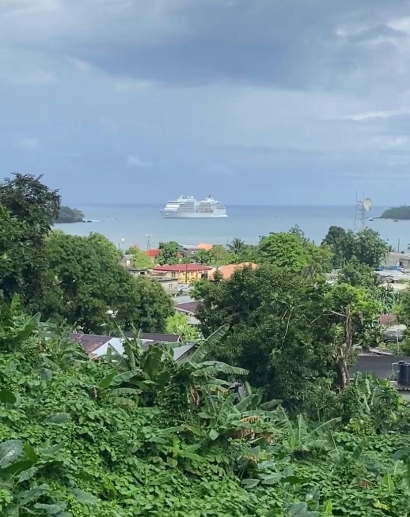 Viva Violas Port Antonio Extérieur photo