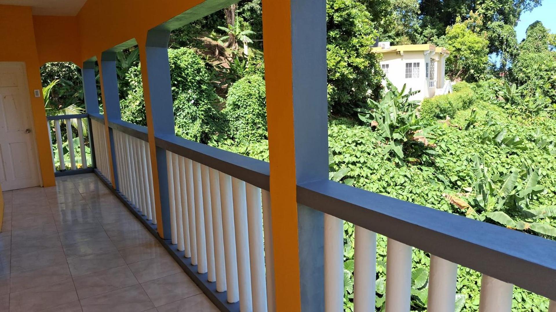 Viva Violas Port Antonio Extérieur photo
