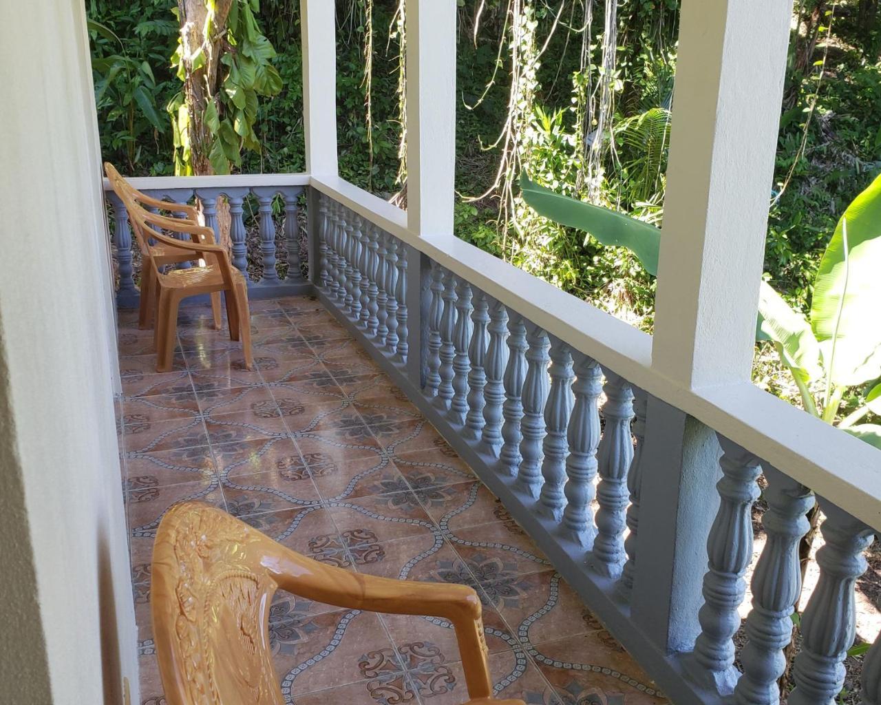 Viva Violas Port Antonio Extérieur photo