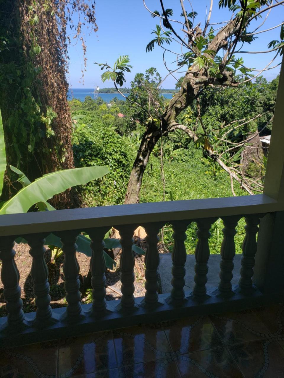 Viva Violas Port Antonio Extérieur photo