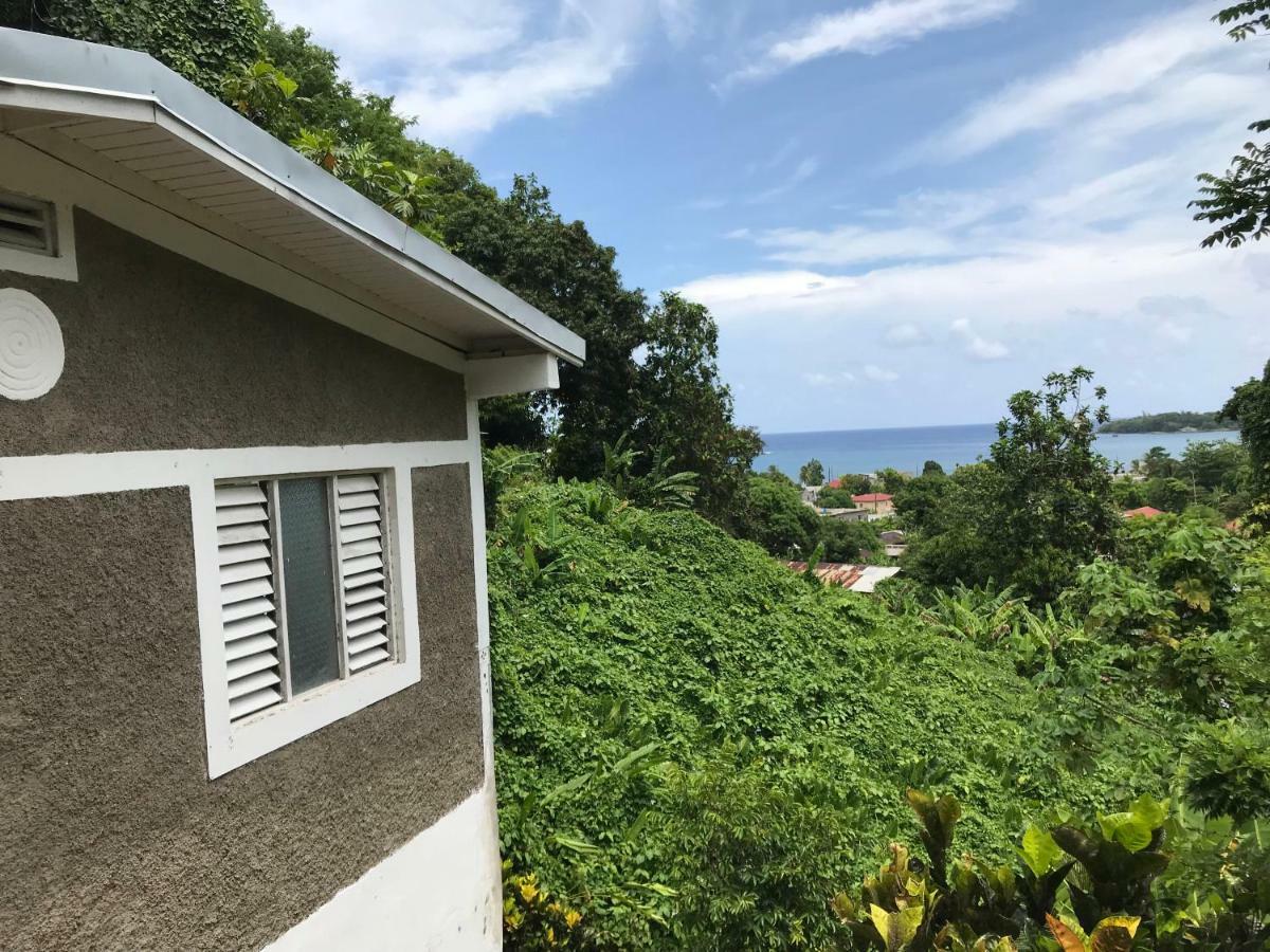 Viva Violas Port Antonio Extérieur photo